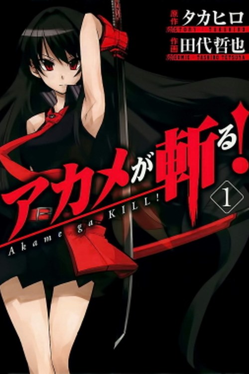 Akame ga Kill! poster