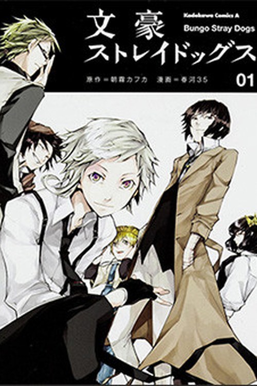 Bungo Stray Dogs poster