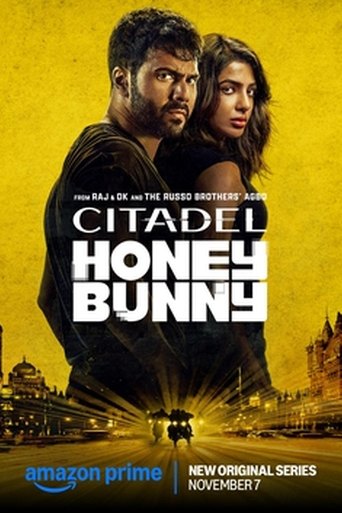 Citadel: Honey Bunny series poster