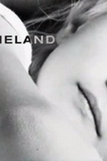 Homeland poster