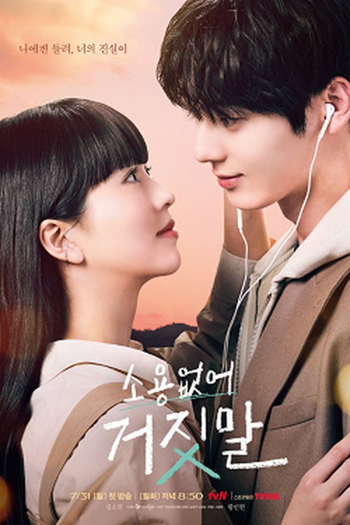 My Lovely Liar poster