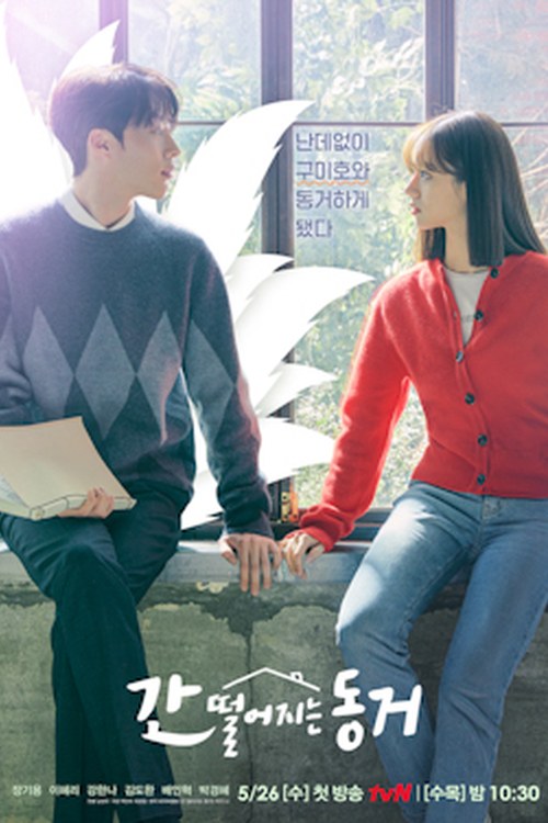 My Roommate Is a Gumiho poster