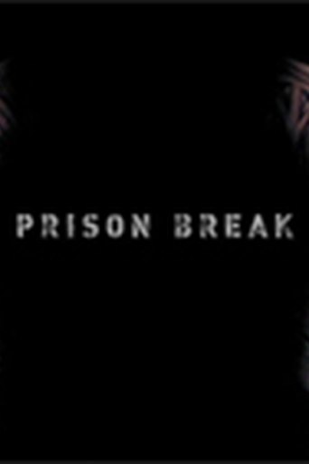 Prison Break series poster