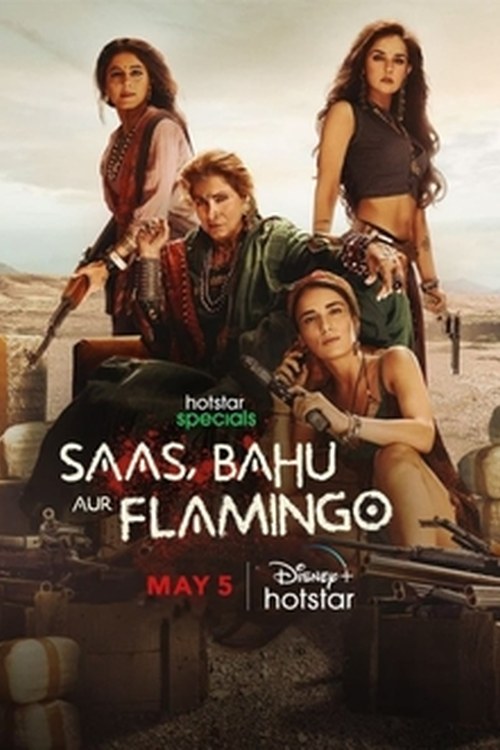 Saas, Bahu Aur Flamingo poster