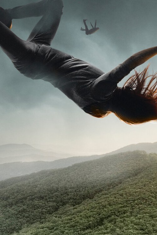 The 100 poster
