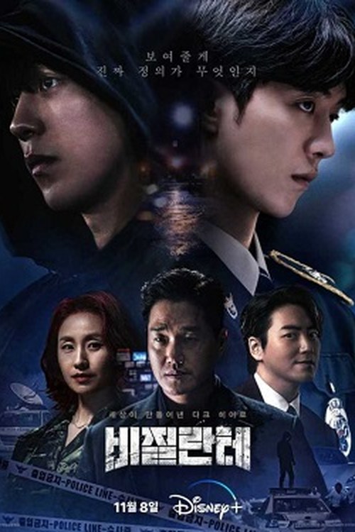 Vigilante poster