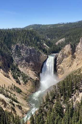 Yellowstone poster